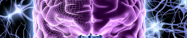 When Dizziness and Brain Fog May Be an Energy Problem in the Brain