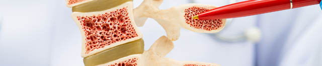 Is Core Strength Really the Answer to Back Pain?