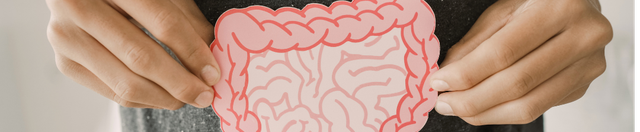 When the Gut No Longer Recognises Food: The Rise of Processed Diet Sensitivities