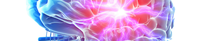 Poor Flexibility? It Could Be a Brain Function Issue, Not a Muscle Problem