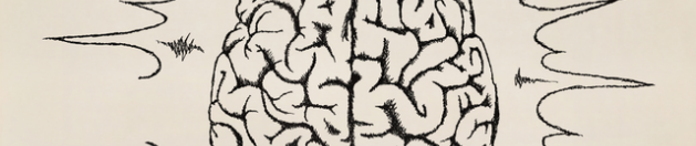 The Link Between Insulin Resistance and Brain Health