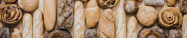 Carbohydrates, Insulin & Your Health