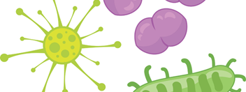 Why Your Body Fights Colds and Infections Differently