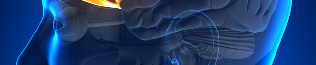 Why Focusing Feels Harder Than It Used To